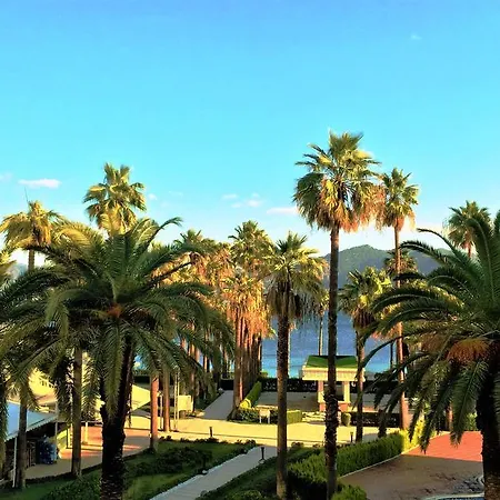 Ideal Prime Ultra 5*