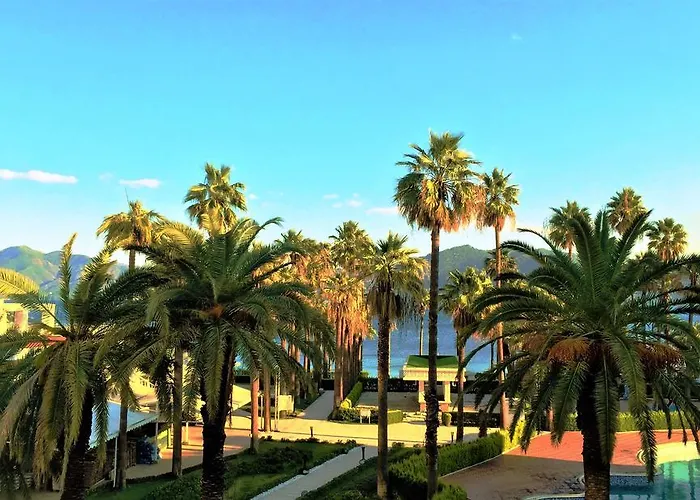 Ideal Prime Ultra 5*